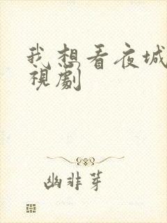 我想看夜城赋电视剧