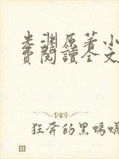 光渊原著小说免费阅读全文