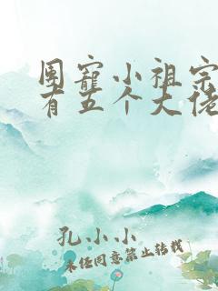 团宠小祖宗:我有五个大佬哥哥