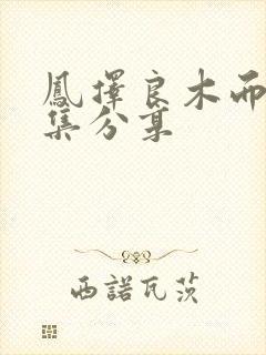 凤择良木而栖全集分享