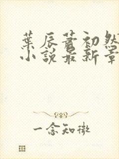 叶辰萧初然结局小说最新章节