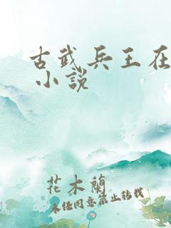 古武兵王在都市 小说