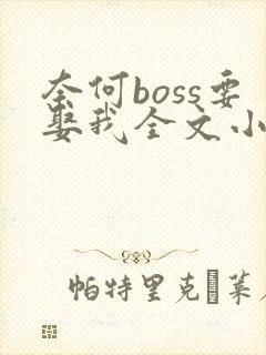 奈何boss要娶我全文小说阅读全文