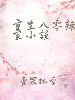 重生八零辣妻当家小说