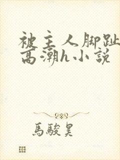 被主人脚趾玩到高潮h小说