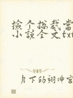 捡个总裁当老婆小说全文txt下载