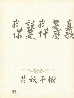 我说我是真的爱你是什么歌的歌词