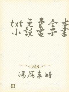 txt免费全本小说电子书下栽