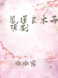 凤择良木而栖电视剧