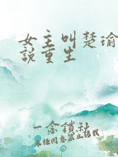 女主叫楚瑜的小说重生