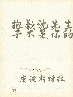 抱歉沈先生,孩子不是你的短剧全集大结局