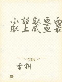 小说献鱼向师祖献上咸鱼最新篇章