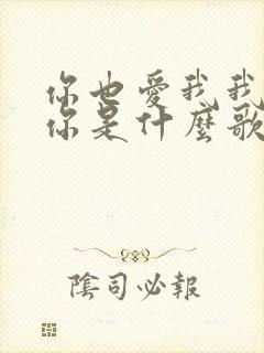 你也爱我我也爱你是什么歌