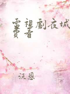 电视剧夜城赋免费看