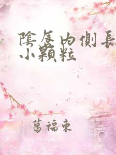 阴唇内侧长一排小颗粒