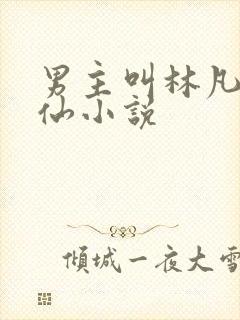 男主叫林凡的修仙小说