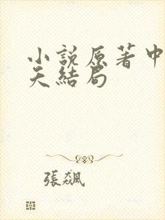 小说原著中沐小夭结局