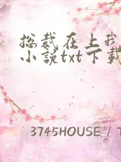 总裁在上我在下小说txt下载