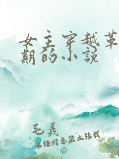 女主穿越革命时期的小说