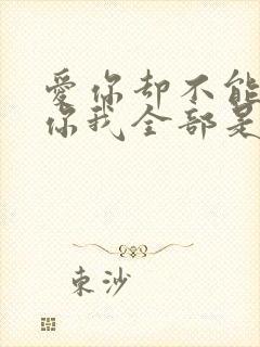 爱你却不能够给你我全部是什么歌