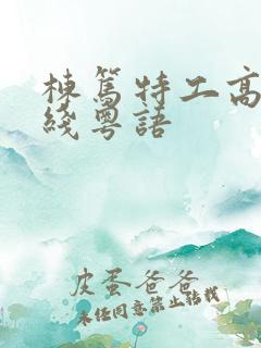 栋笃特工高清在线粤语