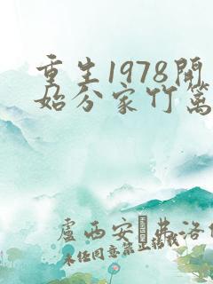 重生1978开始分家竹篱的小说