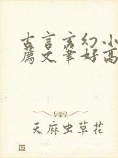 古言玄幻小说推荐文笔好高质量