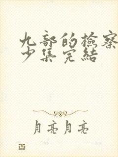 九部的检察官多少集完结