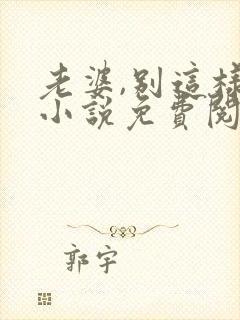 老婆,别这样 小说免费阅读