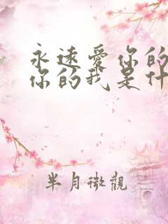 永远爱你的我爱你的我是什么歌里的