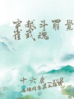 穿越斗罗觉醒朱雀武魂