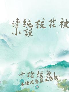 清纯校花被调教小说