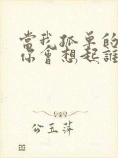 当我孤单的时候你会想起谁歌词