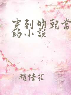 穿到明朝当王爷的小说