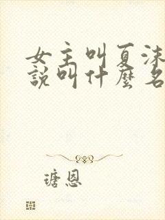 女主叫夏沫的小说叫什么名字