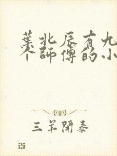 叶北辰有九十九个师傅的小说