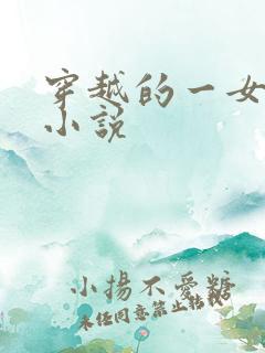 穿越的一女多夫小说