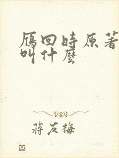 雁回时原著小说叫什么