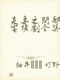 夫妻之间那些事电视剧全集在线播放