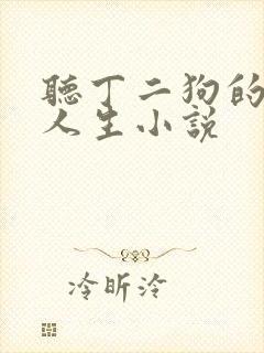 听丁二狗的肆意人生小说