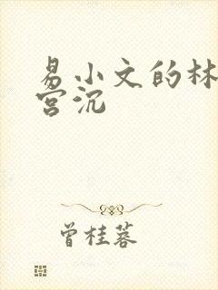 易小文的林知意宫沉