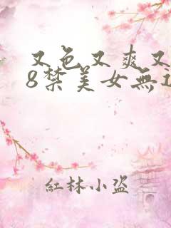 又色又爽又黄18禁美女无遮挡