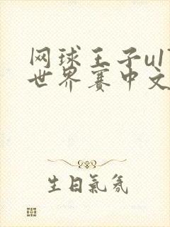 网球王子u17世界赛中文版