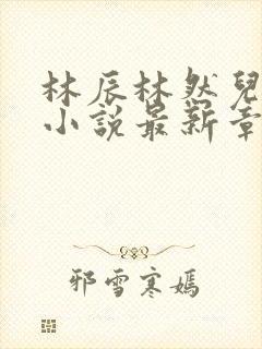 林辰林然儿穿越小说最新章节