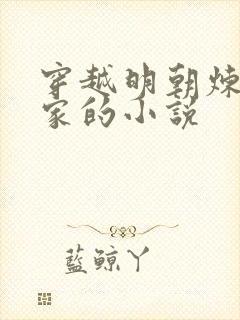 穿越明朝炼盐起家的小说