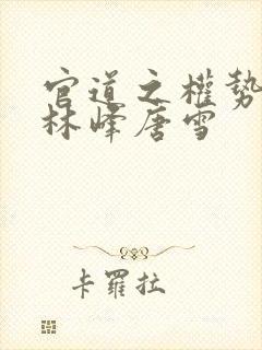 官道之权势滔天林峰唐雪