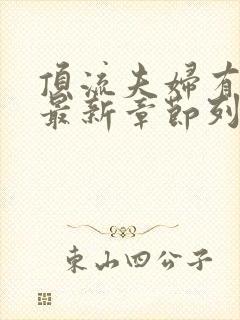 顶流夫妇有点甜最新章节列表