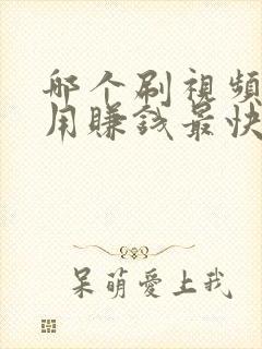 哪个刷视频的应用赚钱最快