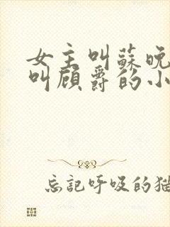 女主叫苏晚男主叫顾爵的小说名字