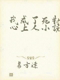 我成了死对头的心上人小说